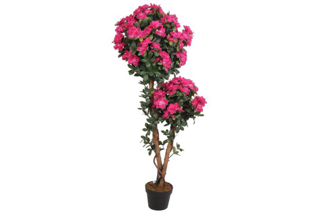 Artificial Plants & Trees
